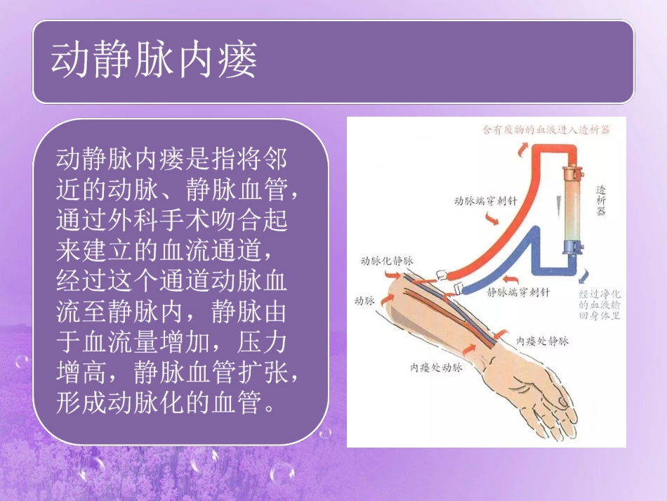 动静脉内瘘的维护_第3页