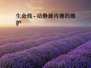动静脉内瘘的维护