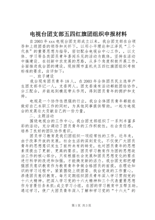 电视台团支部五四红旗团组织申报材料
