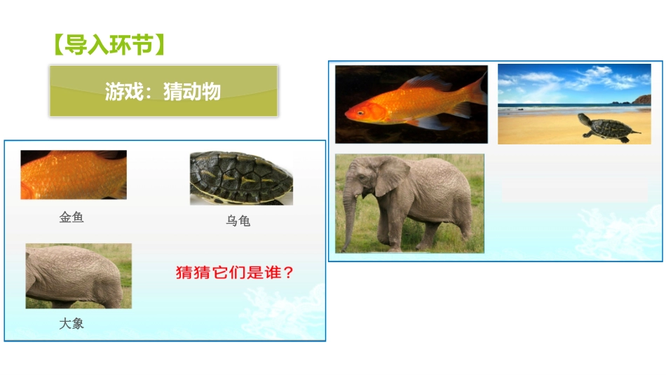 动物的皮肤上_第2页