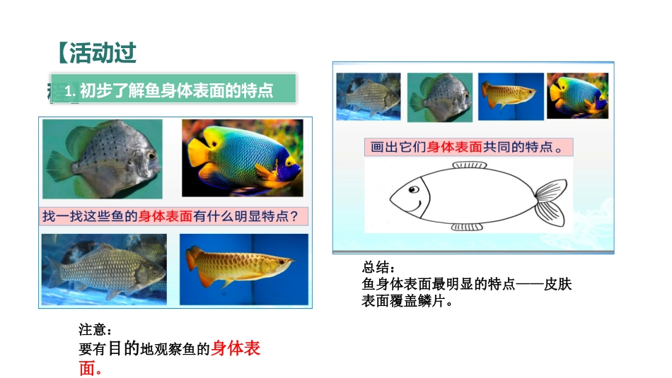 动物的皮肤上_第3页