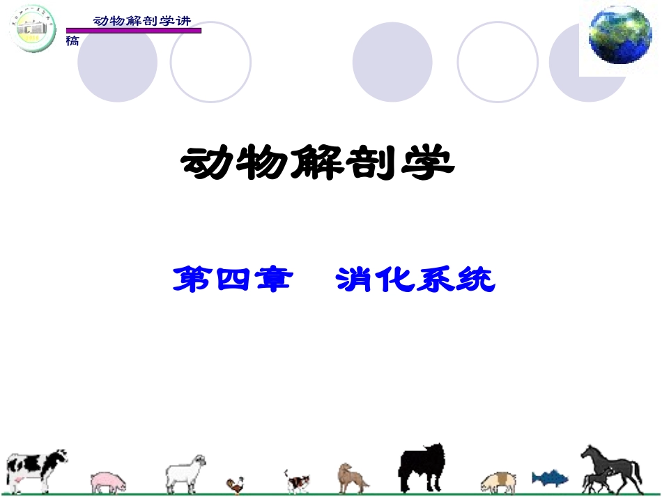 动物解剖学消化系统_第1页