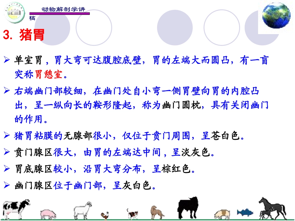 动物解剖学消化系统_第3页