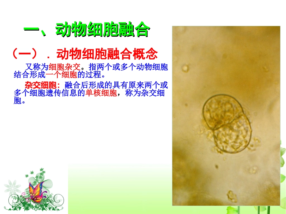 动物细胞融合和单克隆抗体_第3页