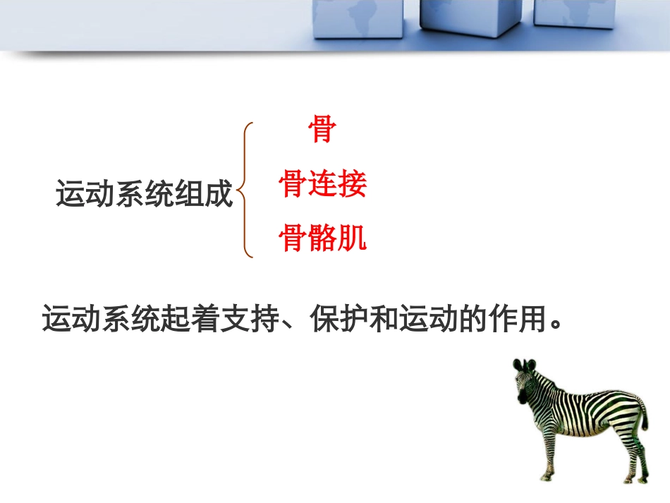 动物运动的形成_第3页