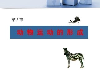 动物运动的形成
