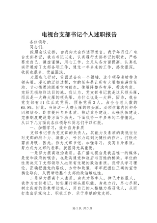 电视台支部书记个人述职报告