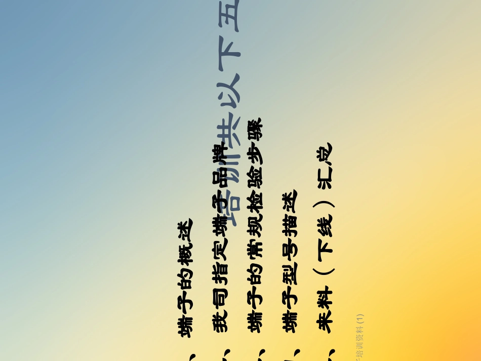 端子专业讲座_第2页