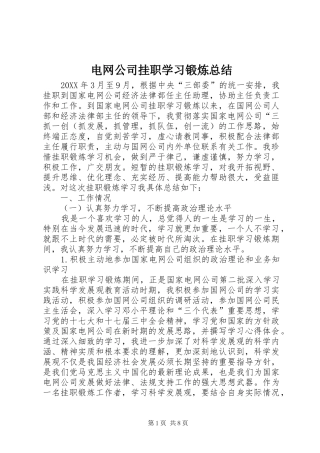 电网公司挂职学习锻炼总结