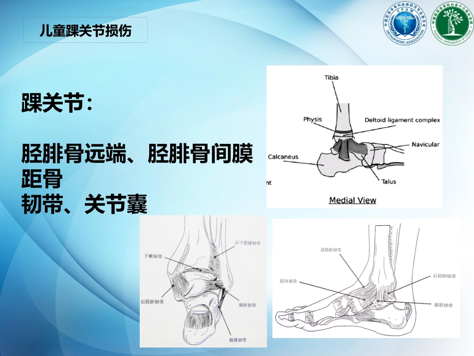 儿童踝关节损伤_第2页