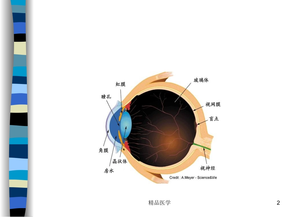 儿童眼保健知识课件_第2页