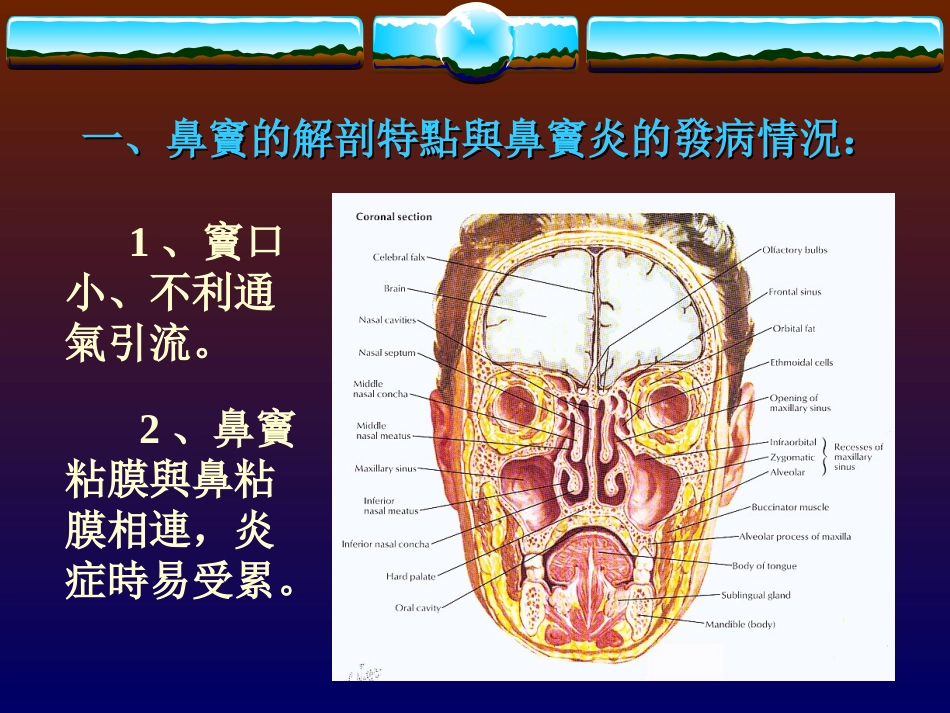 耳鼻喉急性化脓性鼻窦炎_第3页