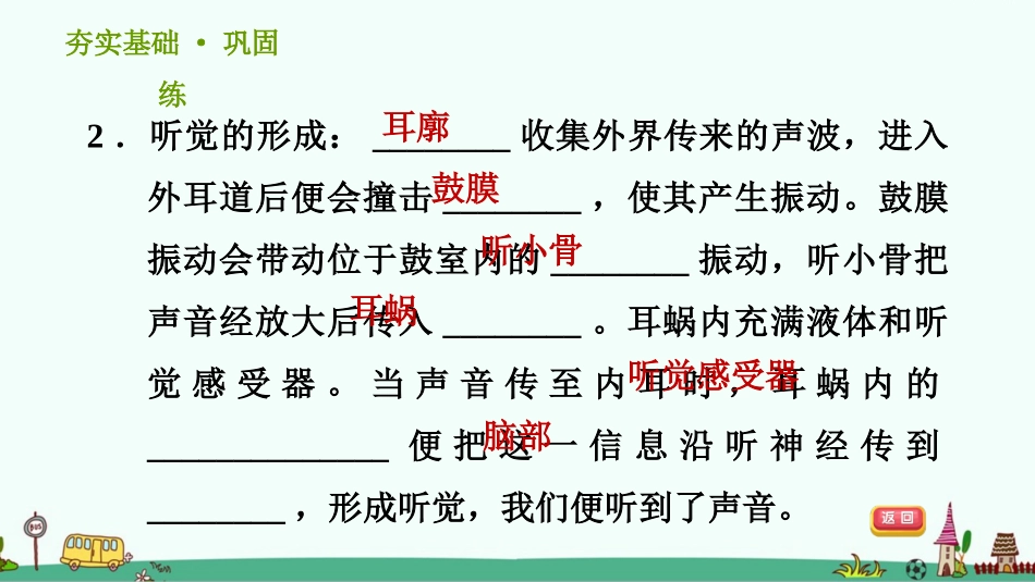 耳的结构和听觉的形成习题课件浙教版科学七年级下_第3页