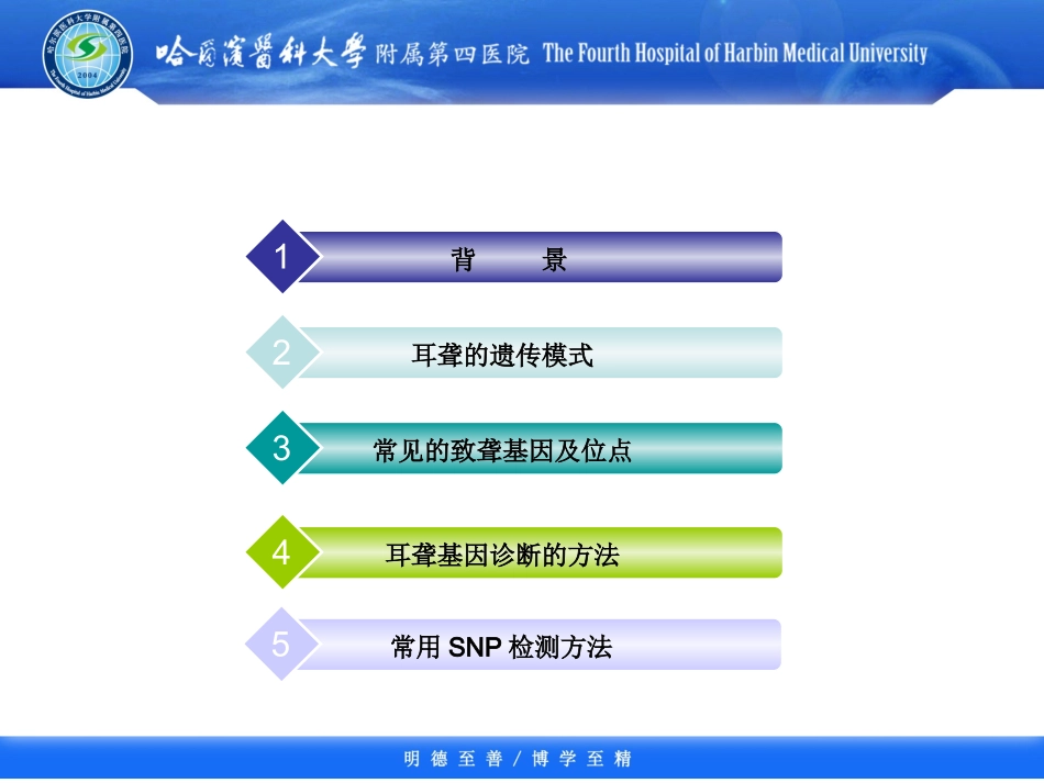 耳聋基因诊断_第2页