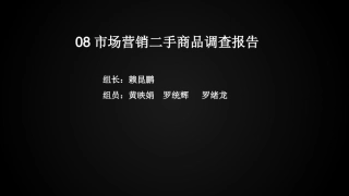 二手市场调查报告