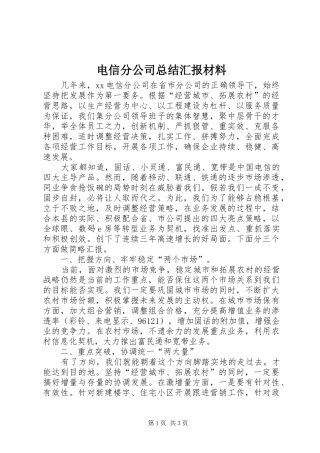 电信分公司总结汇报材料