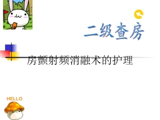 房颤射频消融术