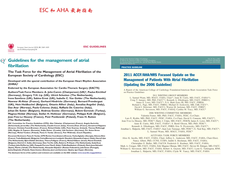 房颤治疗指南_第2页