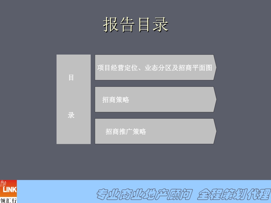 房地产商铺招商方案_第3页