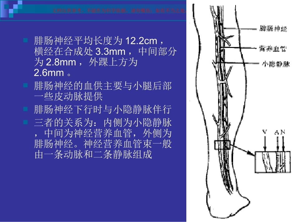 腓肠神经营养血管皮瓣课件_第3页