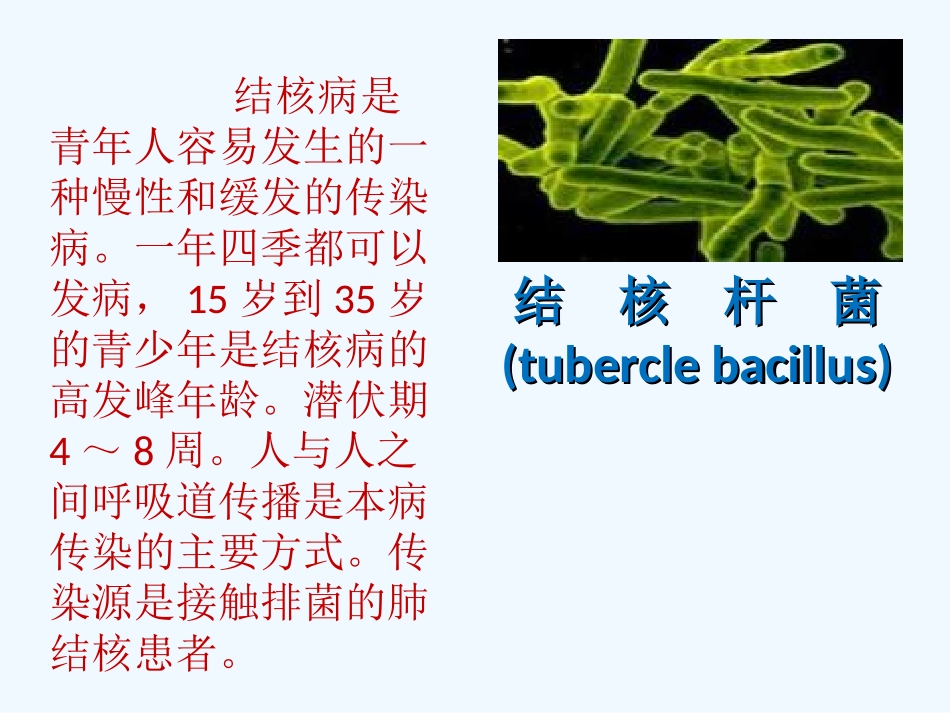 肺结核主题班会_第3页