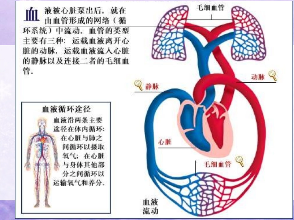 肺栓塞病人的医疗护理优质课件_第3页