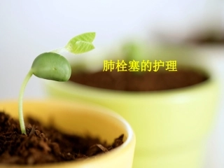 肺栓塞的护理