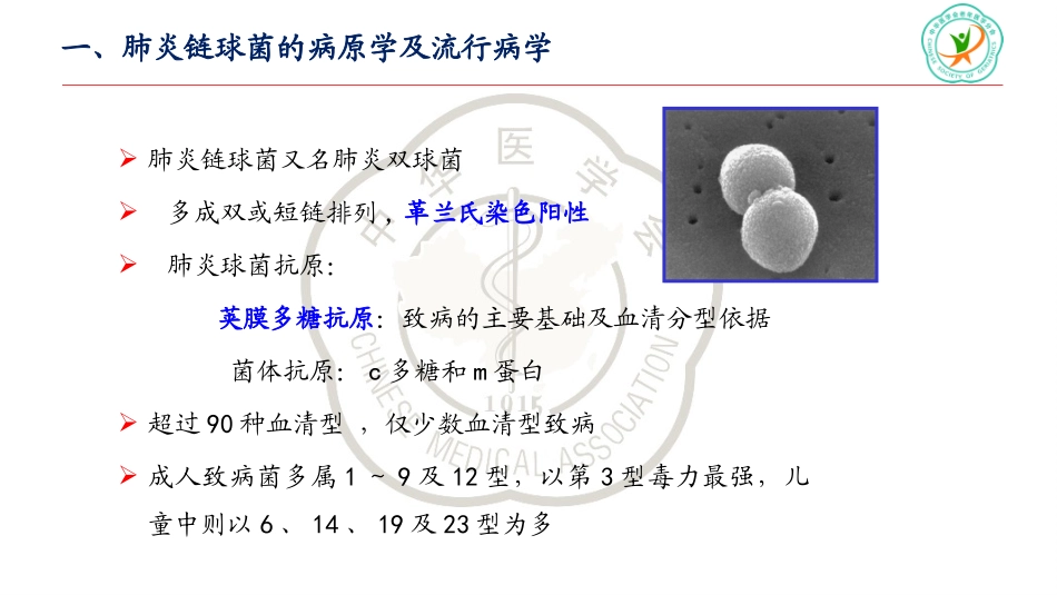 肺炎链球菌疫苗_第3页