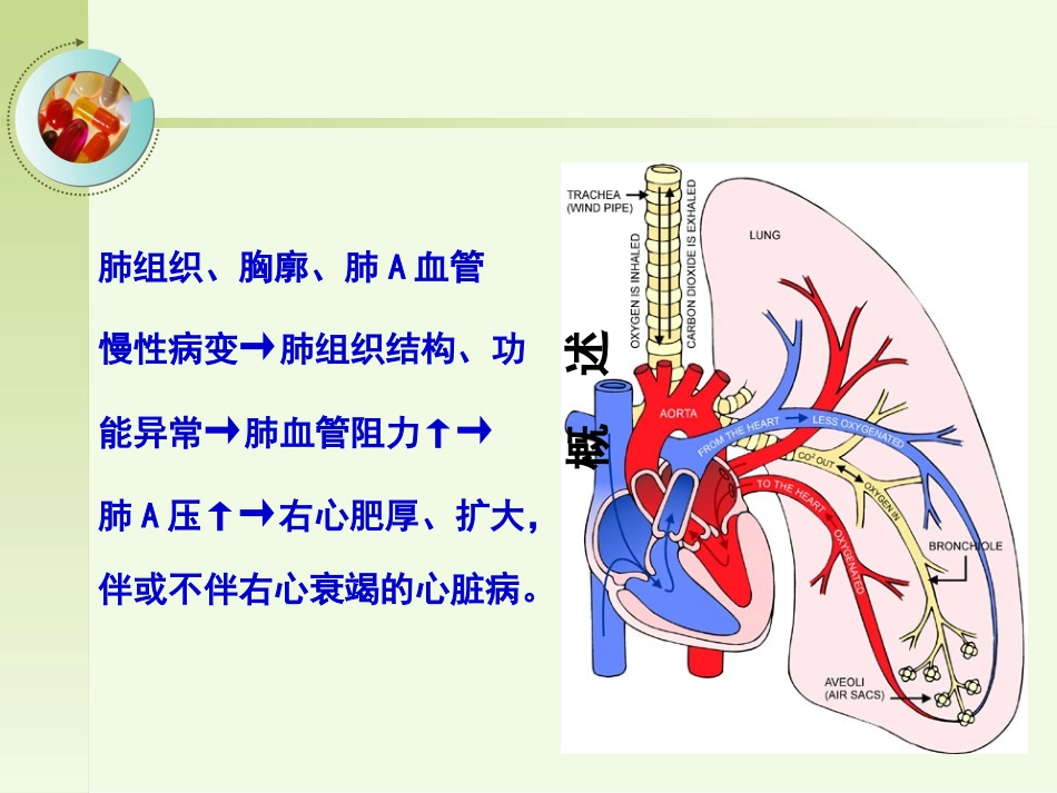 肺源性心脏病病人的护理_第2页