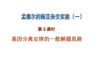 分离定律的一般解题思路