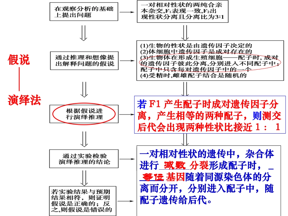 分离定律的应用_第2页