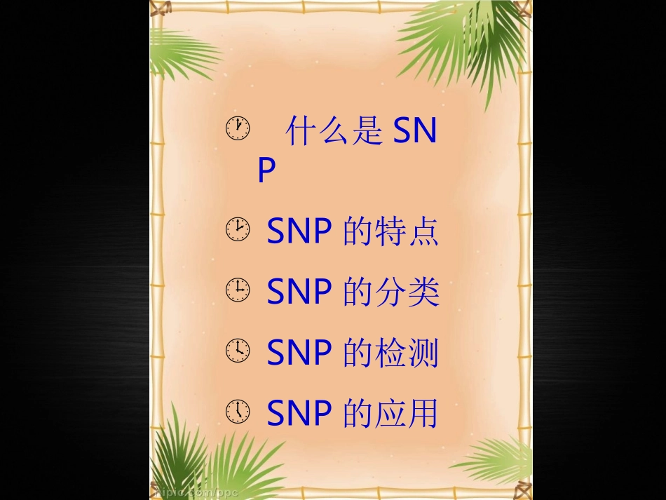 分子标记SNP_第2页
