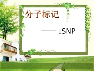 分子标记SNP