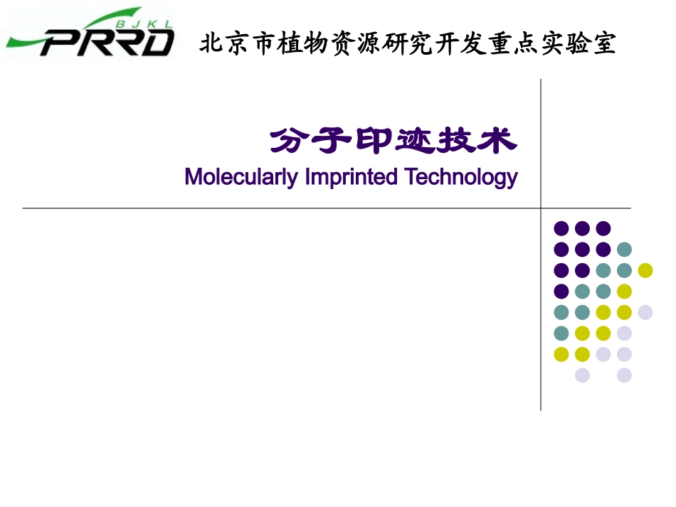 分子印迹技术_第1页