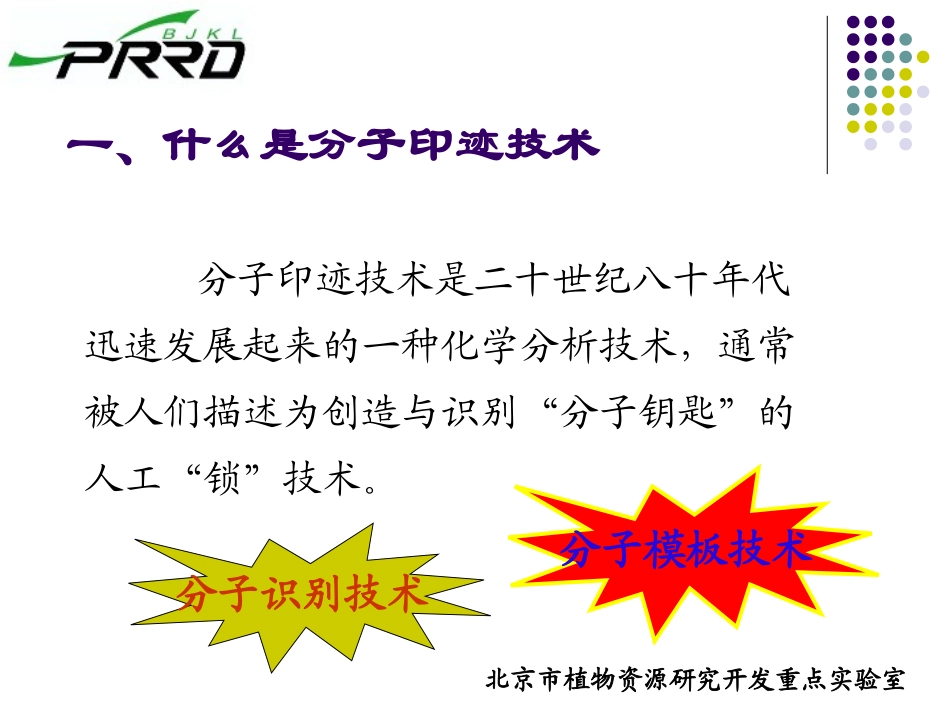 分子印迹技术_第3页