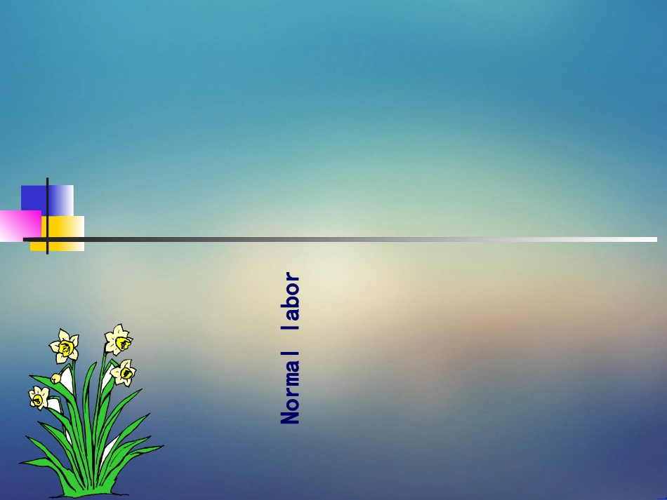 妇产科正常分娩课件_第1页