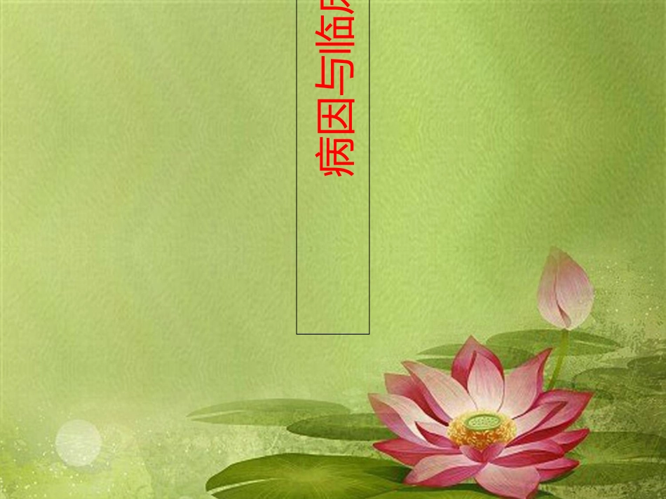 妇科护理查房._第3页