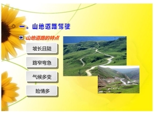 复杂道路驾驶