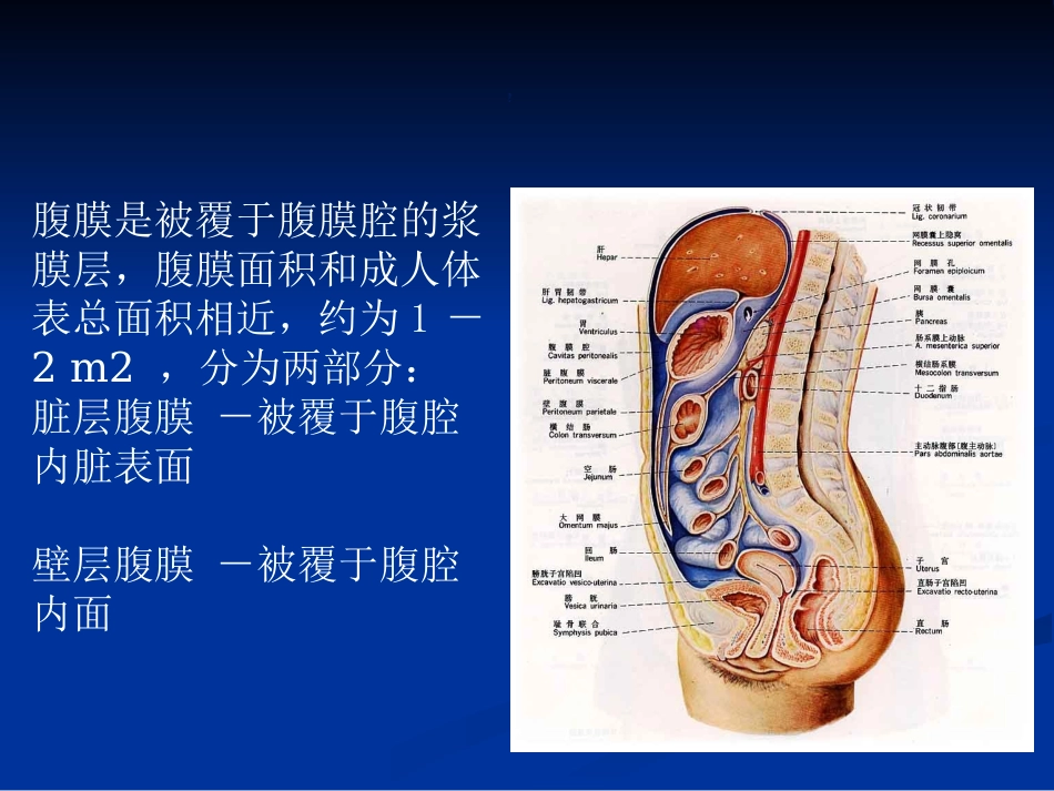 腹膜透析及其优化_第2页