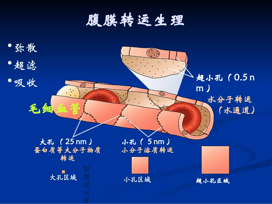 腹膜透析及其优化_第3页