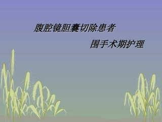 腹腔镜围手术期护理