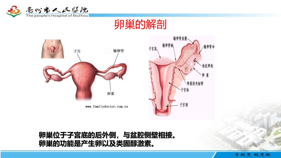 腹腔镜下卵巢囊肿剥除术手术配合_第3页