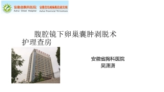 腹腔镜下卵巢囊肿剥脱术护理查房吴潇潇