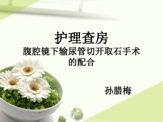 腹腔镜下输尿管切开取石术的配合