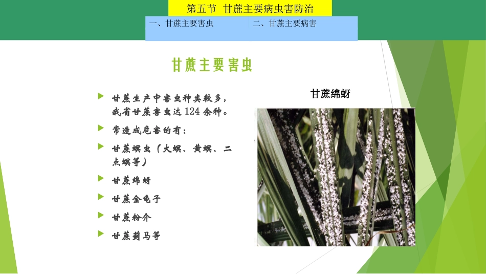 甘蔗病虫害课件_第3页