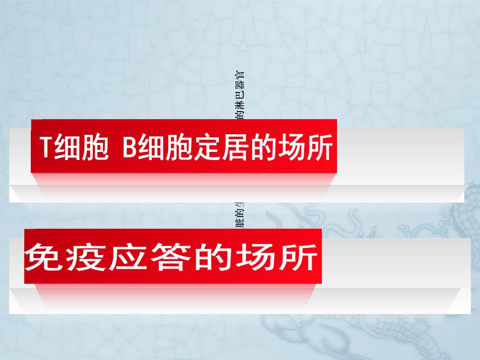 肝胆外科护理查房脾亢进_第3页