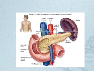 肝胆外科护理查房脾亢进