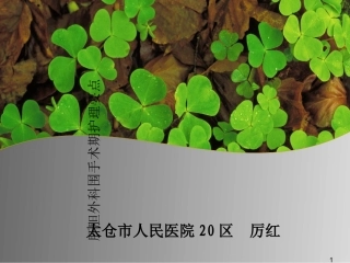 肝胆外科围手术期护理要点课件