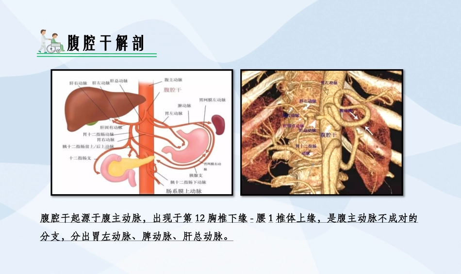 肝动脉栓塞术_第3页