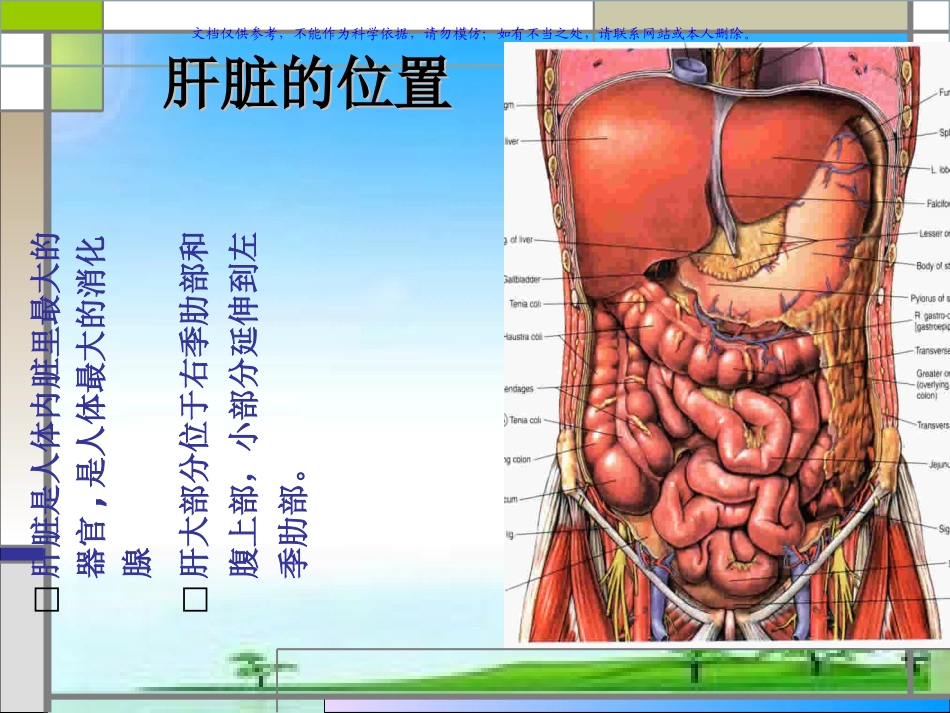 肝叶切除手术配合课件_第2页